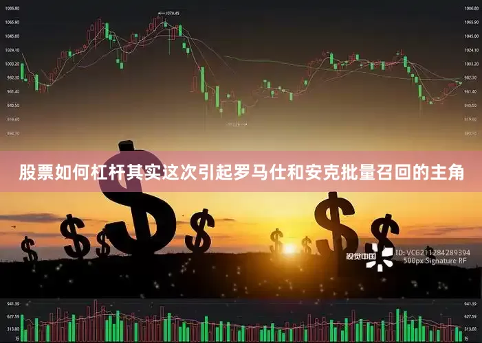 股票如何杠杆其实这次引起罗马仕和安克批量召回的主角